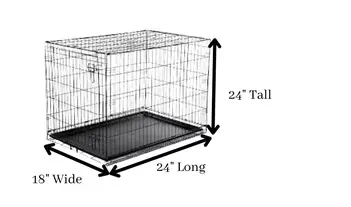 Inhibere operation Et hundrede år Lovebird Cage Size/Setup (A Easy And Helpful Guide)