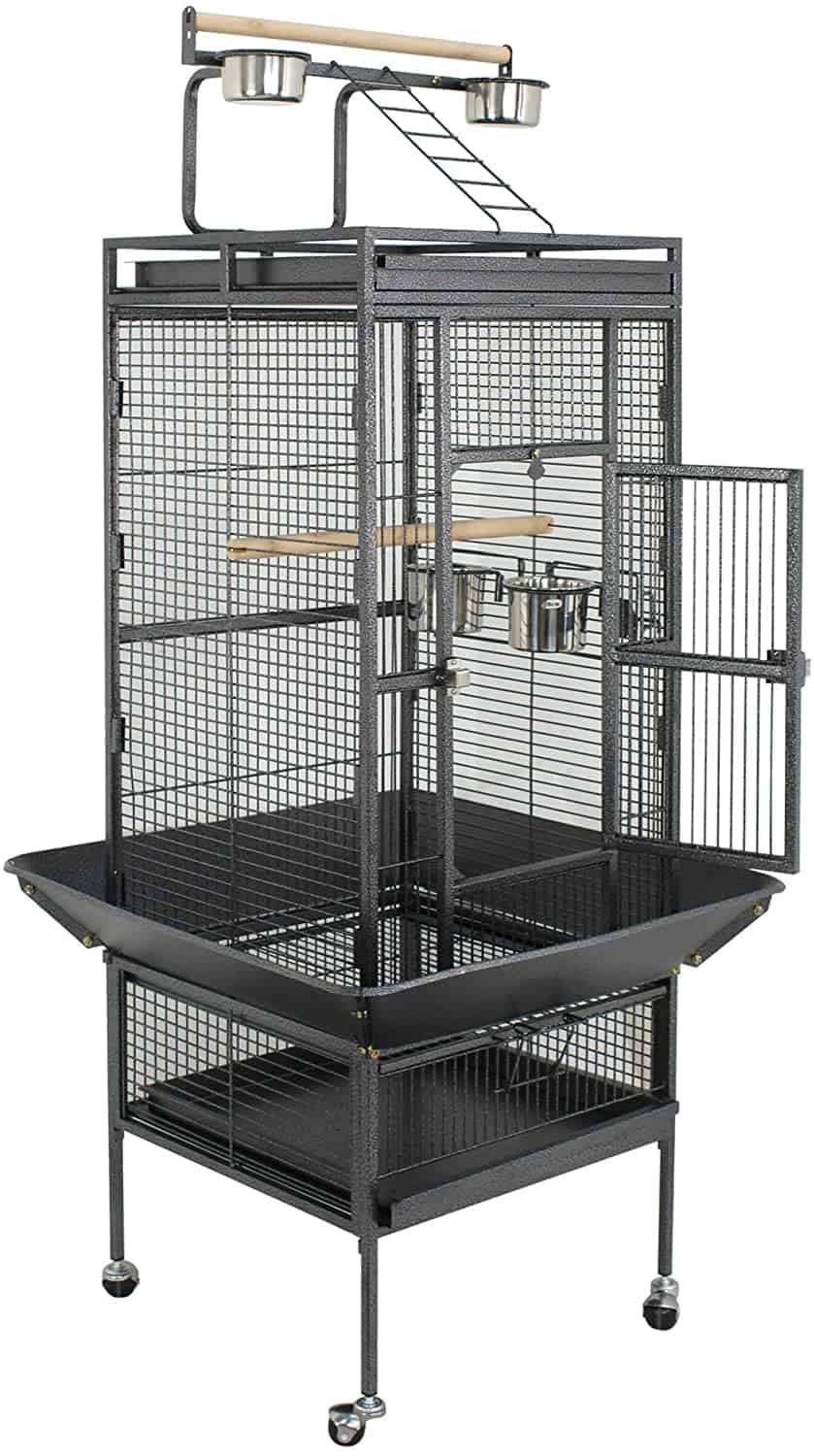 Best Cages For Cockatiels (Plus What Their Cage Setup Should Be)