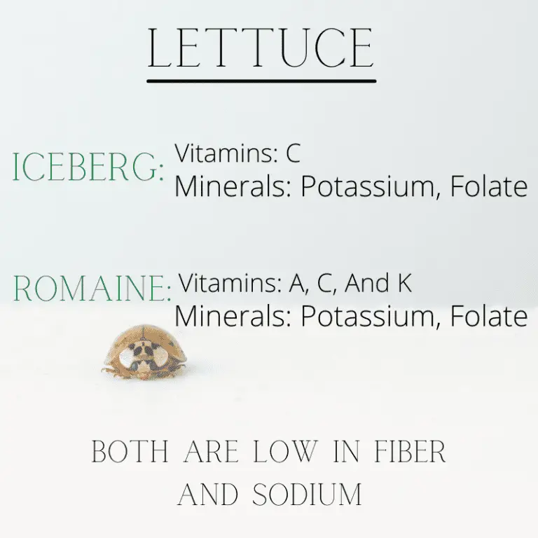 romaine vs iceberg taste